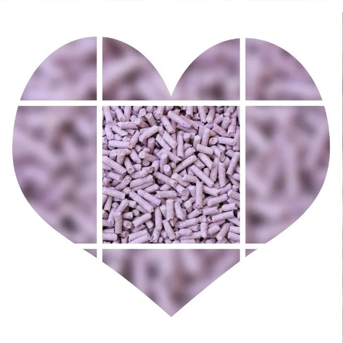 Arena de tofu de alta absorcion con un calido olor a lavanda