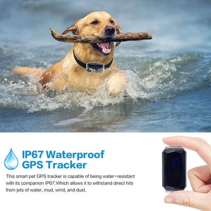 Collar para mascotas con rastreador GPS, impermeable, antipérdida, para perros y gatos, con seguimiento de huellas y localizador